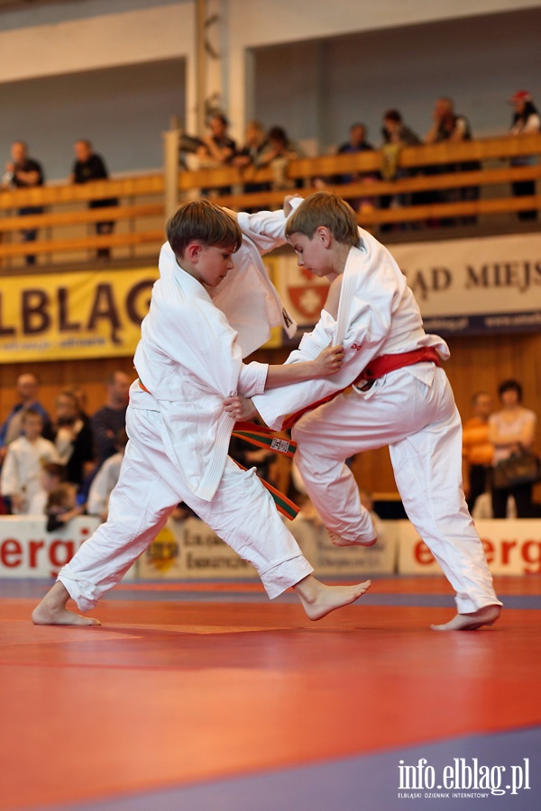 Ogólnopolskie Otwarte Mistrzostwa Elbląga Dzieci i Młodzików w Judo, fot. 30