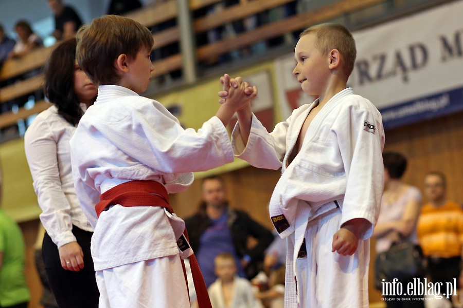 Ogólnopolskie Otwarte Mistrzostwa Elbląga Dzieci i Młodzików w Judo, fot. 32