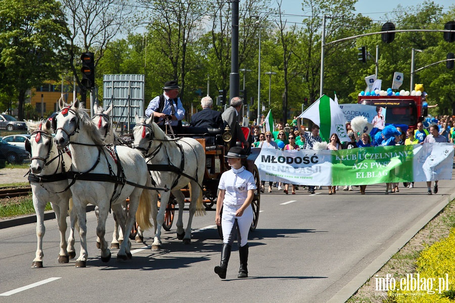 Turbinalia 2013, fot. 8