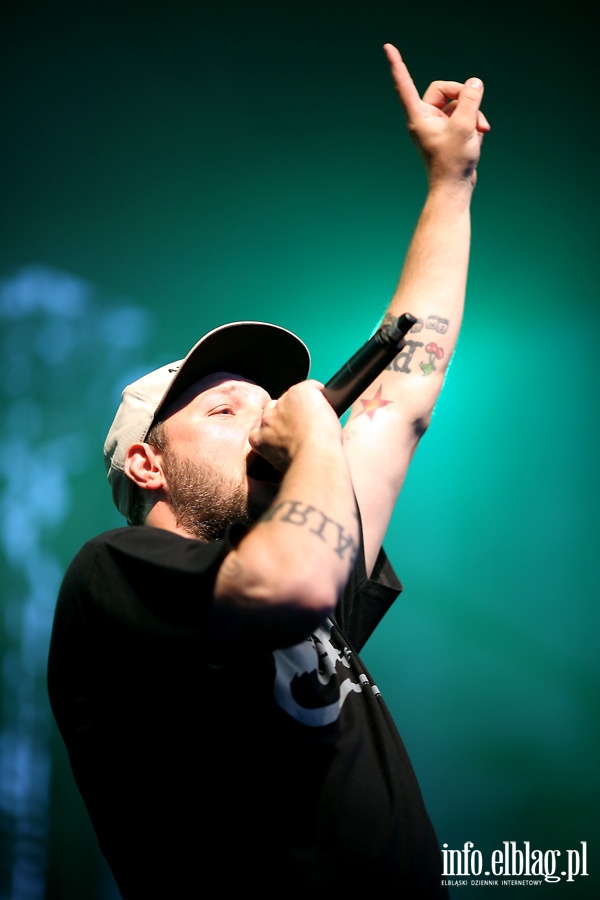 Turbinalia - koncert Eldo i zespołu Akurat, fot. 28