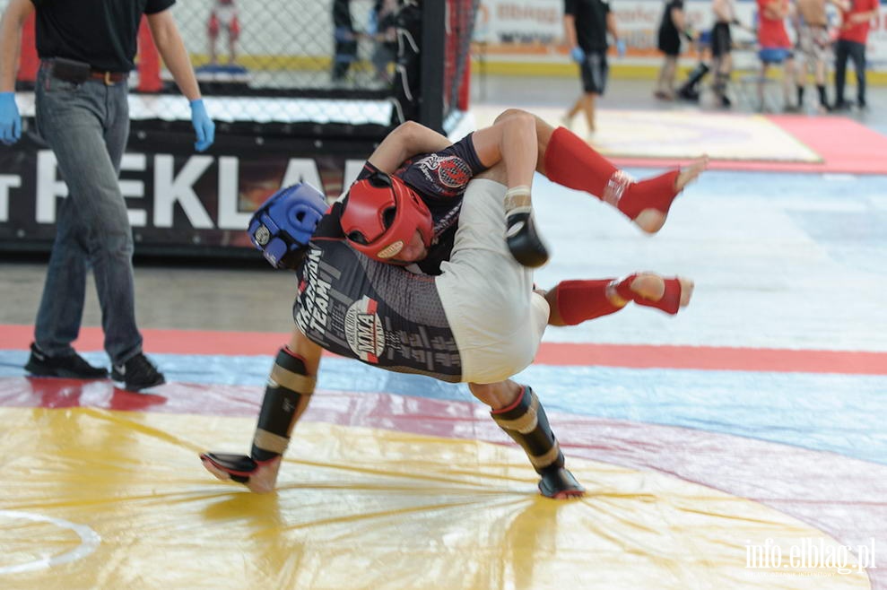 Puchar Polski Amatorskiego MMA, fot. 3