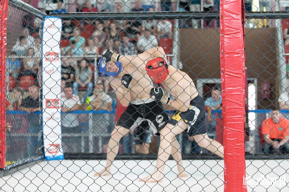 Puchar Polski Amatorskiego MMA, fot. 27