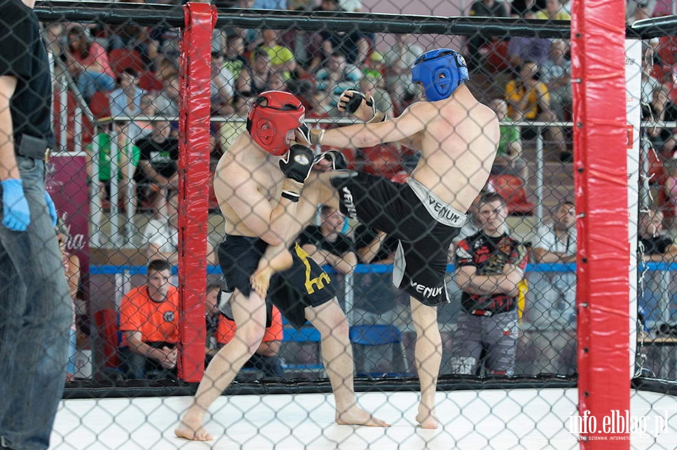 Puchar Polski Amatorskiego MMA, fot. 28