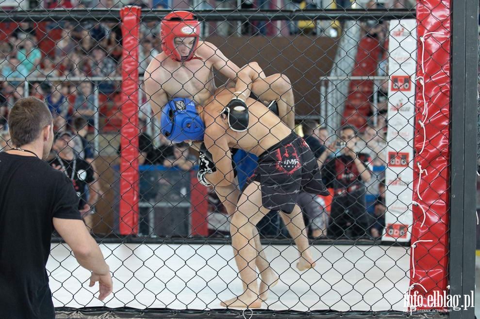 Puchar Polski Amatorskiego MMA, fot. 43