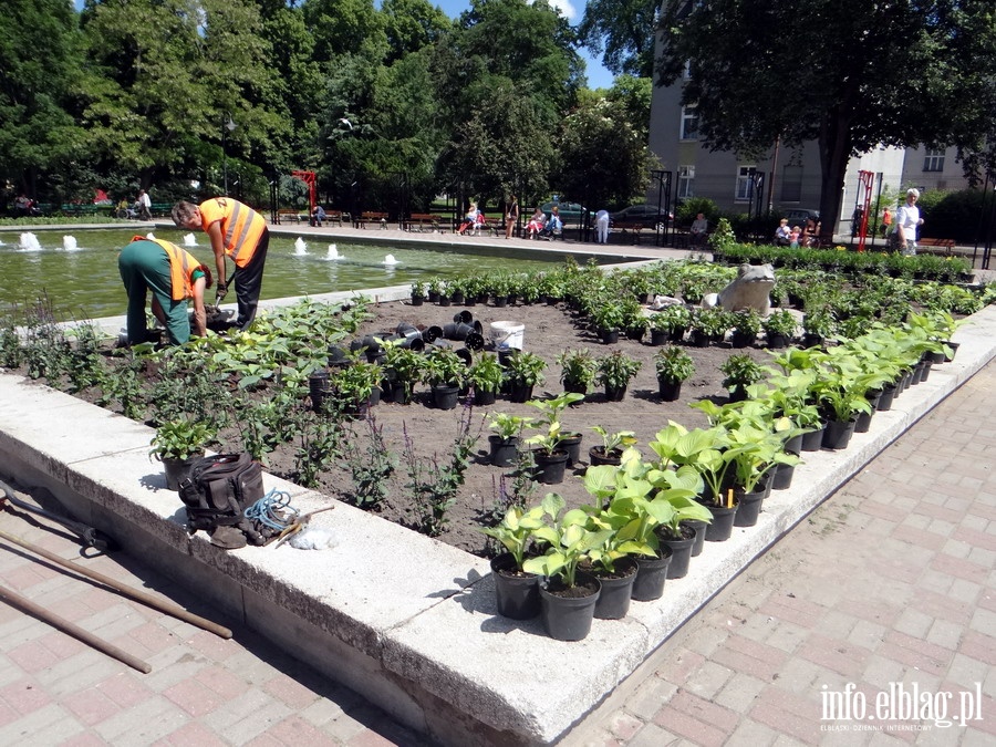 Prace rewitalizacyjne na Skwerze Mariana Sawicza - czerwiec 2013r., fot. 10