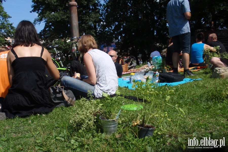 Drugi ziELBLG za nami - piknik w Parku Planty, fot. 6