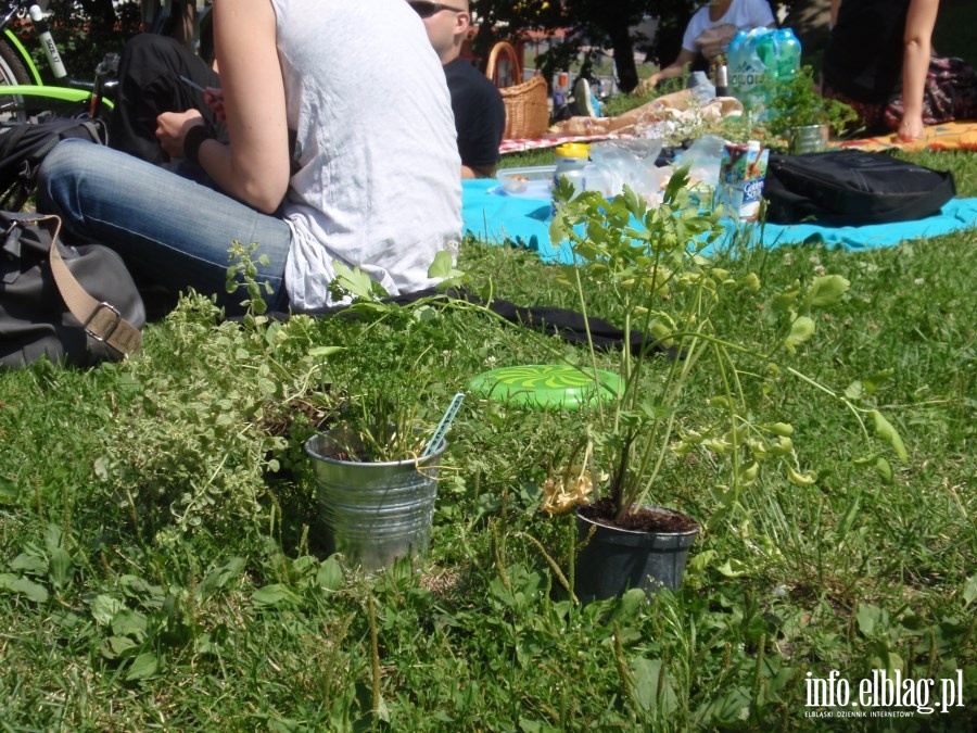 Drugi ziELBLG za nami - piknik w Parku Planty, fot. 7