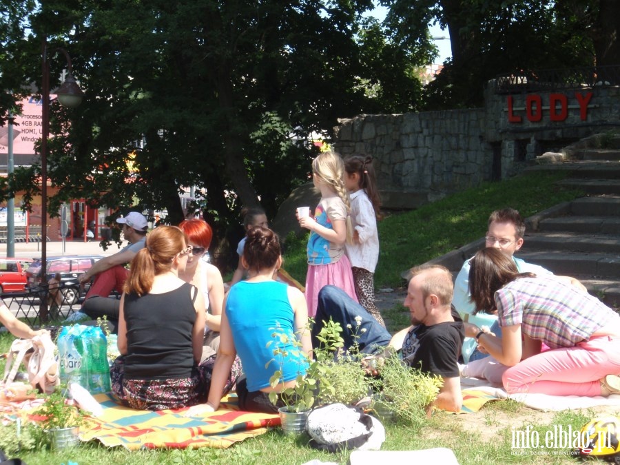 Drugi ziELBLG za nami - piknik w Parku Planty, fot. 14