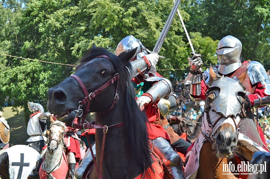 Oblenie Malborka 2013, fot. 38