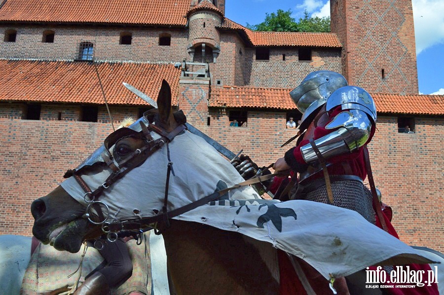 Oblenie Malborka 2013, fot. 41