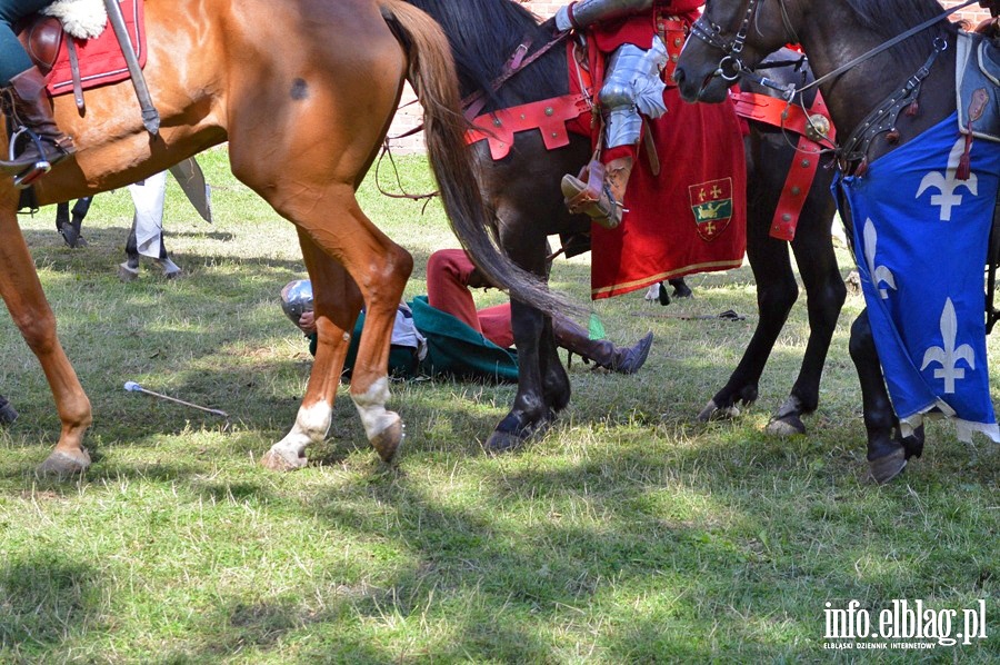 Oblenie Malborka 2013, fot. 44