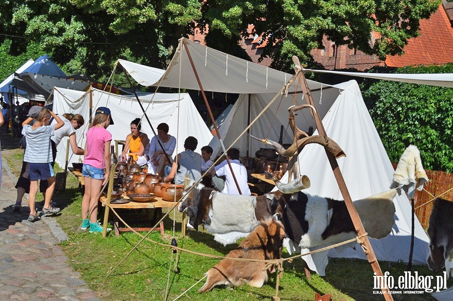 Oblenie Malborka 2013, fot. 49