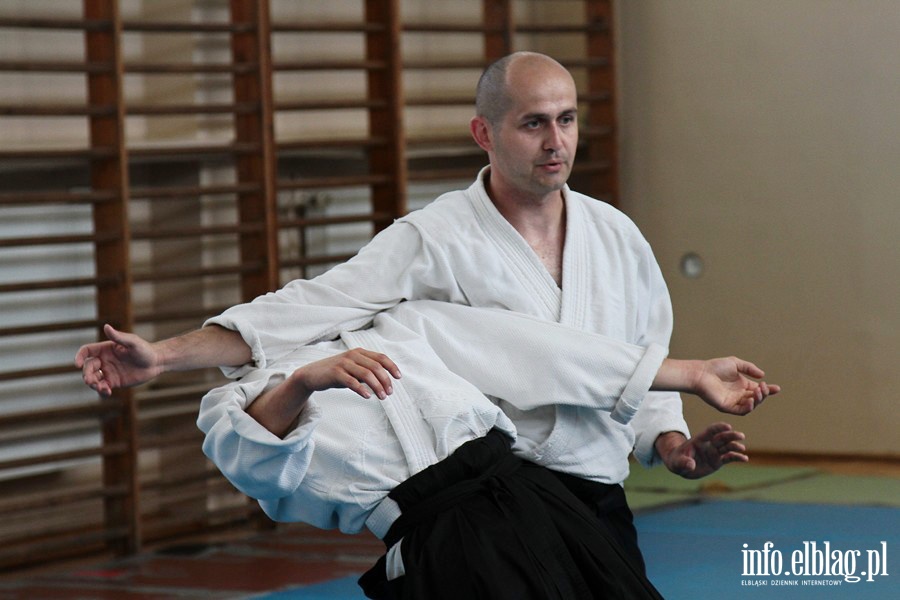 Warsztaty Letniej Akademii Aikido - 22.07.3013, fot. 3