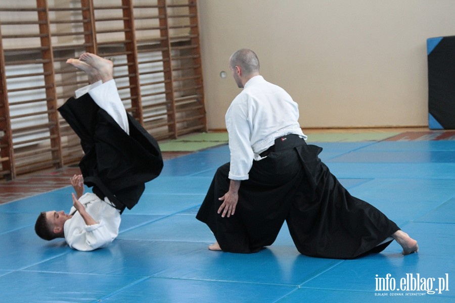 Warsztaty Letniej Akademii Aikido - 22.07.3013, fot. 4