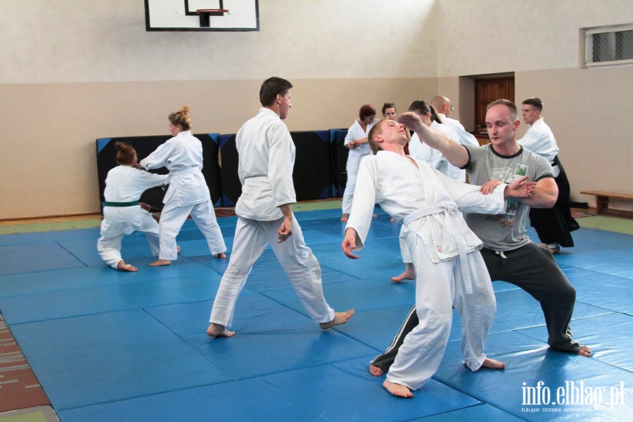 Warsztaty Letniej Akademii Aikido - 22.07.3013, fot. 5