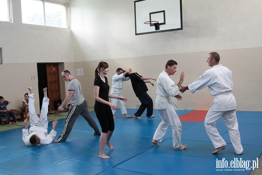 Warsztaty Letniej Akademii Aikido - 22.07.3013, fot. 9