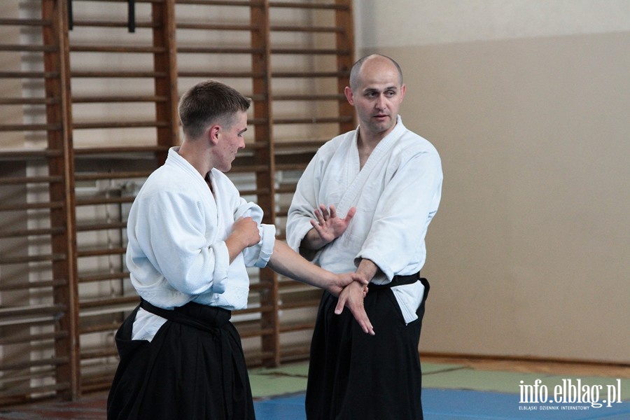 Warsztaty Letniej Akademii Aikido - 22.07.3013, fot. 18