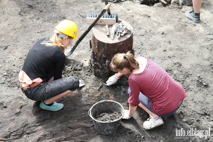 Wykopaliska na dziedzicu elblskiego Muzeum Archeologiczno-Historycznego, fot. 3