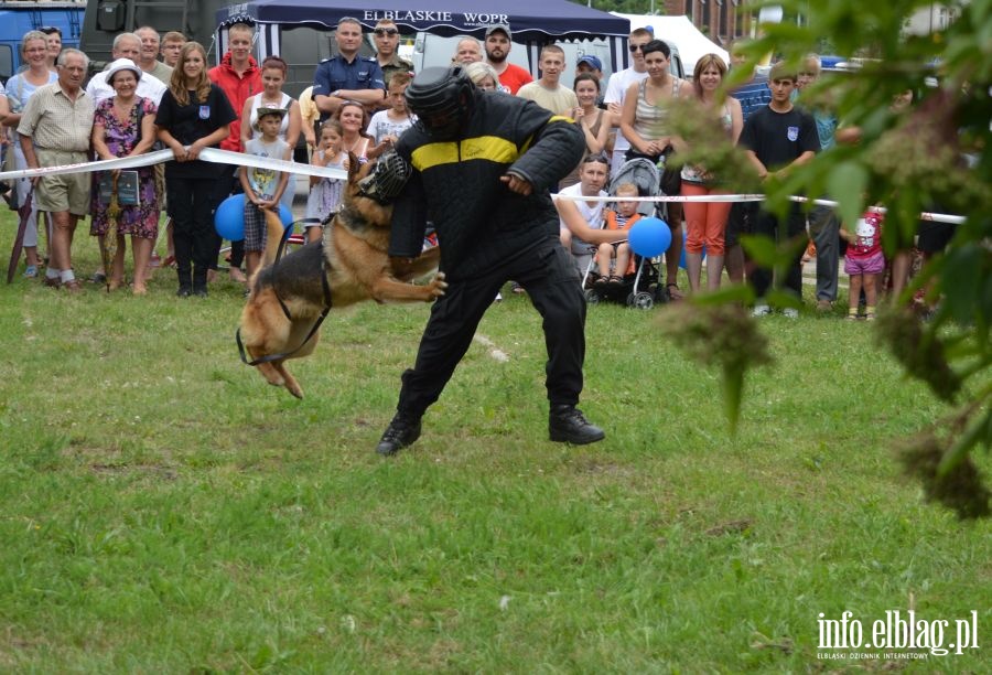 Festyn z okazji wita Policji, fot. 68