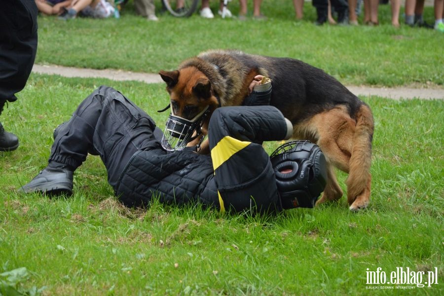 Festyn z okazji wita Policji, fot. 69