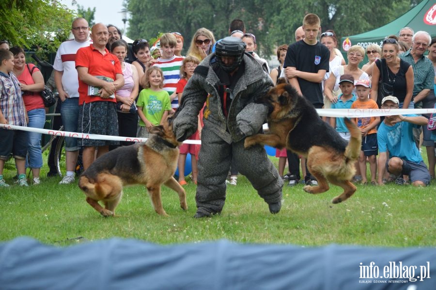 Festyn z okazji wita Policji, fot. 80
