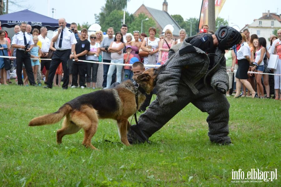 Festyn z okazji wita Policji, fot. 81