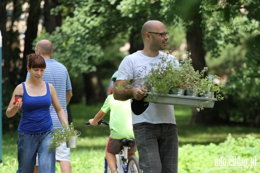 Trzeci piknik w ramach tgorocznej akcji ZiELBLG, fot. 6