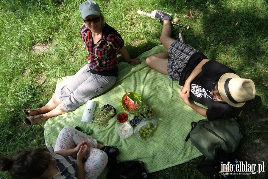 Trzeci piknik w ramach tgorocznej akcji ZiELBLG, fot. 12