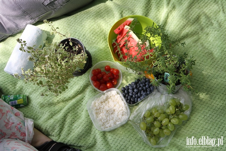 Trzeci piknik w ramach tgorocznej akcji ZiELBLG, fot. 13