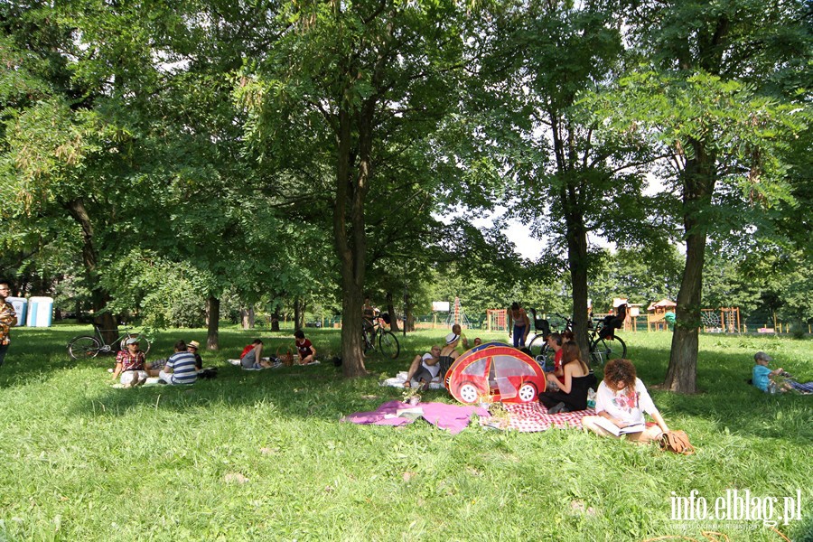 Trzeci piknik w ramach tgorocznej akcji ZiELBLG, fot. 16