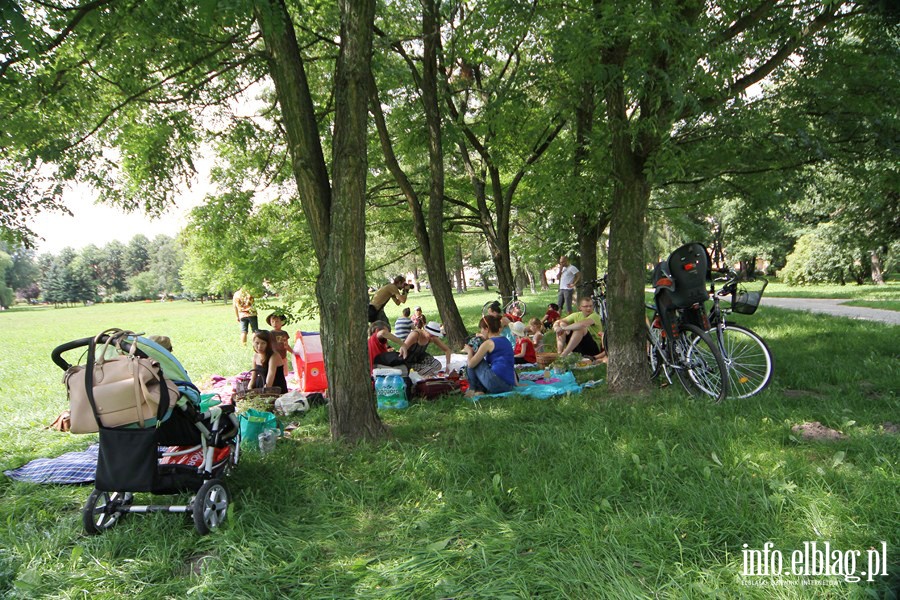 Trzeci piknik w ramach tgorocznej akcji ZiELBLG, fot. 27