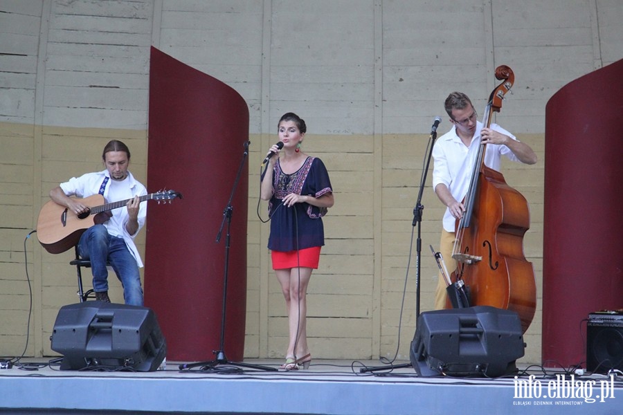 Koncert zespołu Chwila Nieuwagi, fot. 4