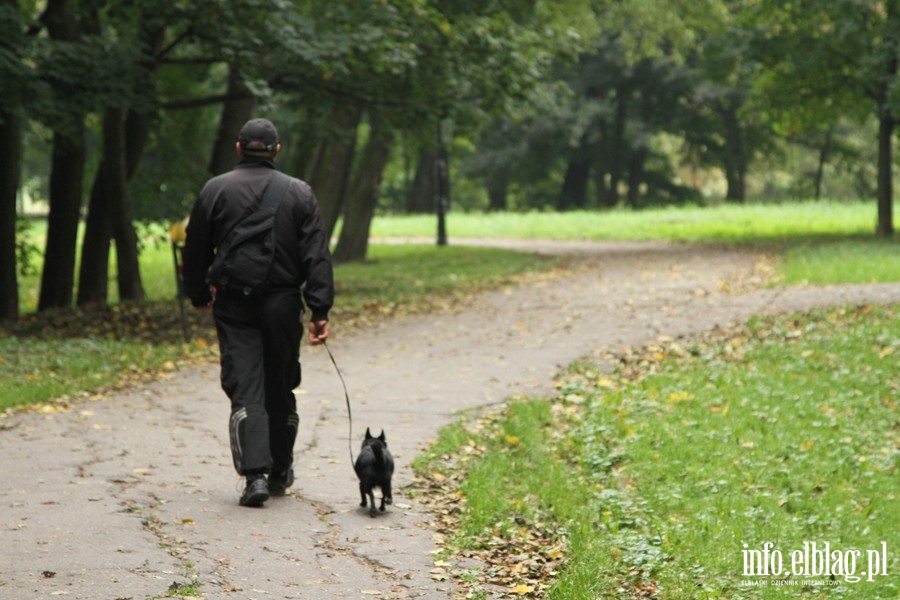 Park Dolinka, fot. 12