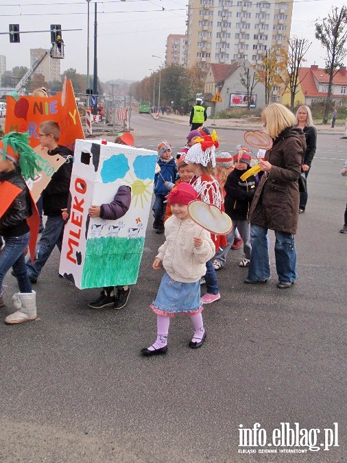 Strajk żywności przeszedł ulicami Elbląga, fot. 14