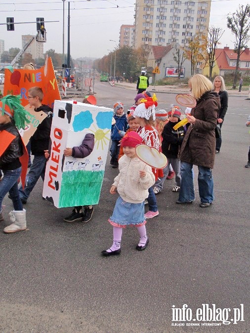 Strajk ywnoci przeszed ulicami Elblga, fot. 14