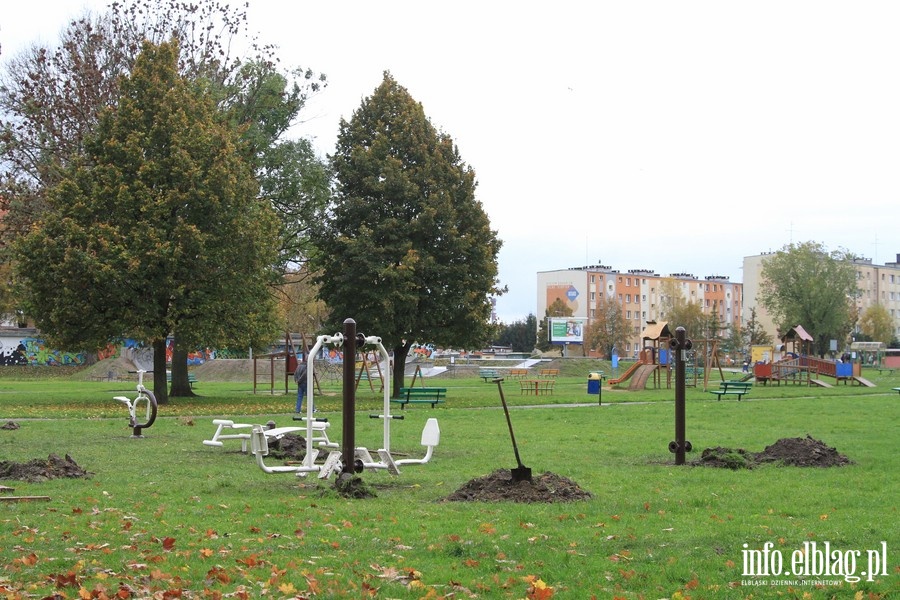 Montaż urządzeń siłowych na zieleńcu przy ul. Mickiewicza, fot. 19