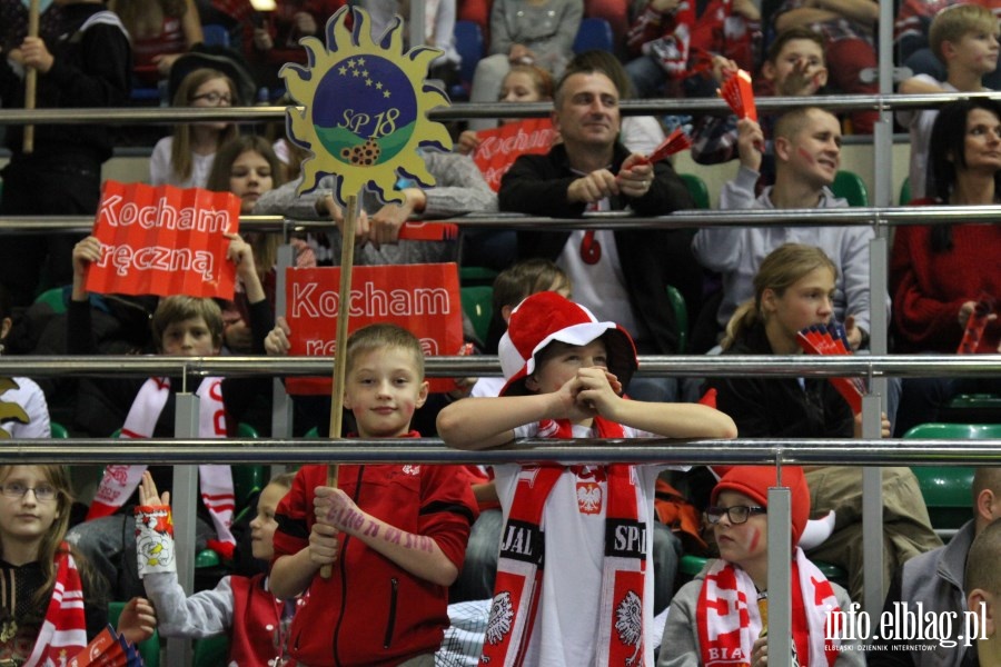 Mecz Polska-Brazylia w pik rczn/Elblg, 29.11.2013r., fot. 44