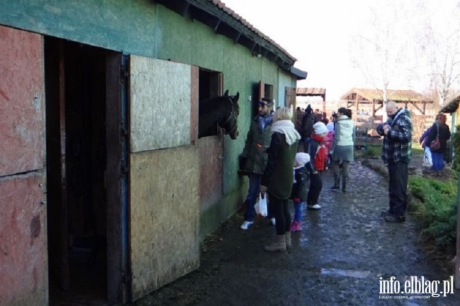 Dzie otwarty w Stowarzyszeniu Patrol Interwencyjny ds. Zwierzt Gospodarskich w Nowakowie, fot. 1