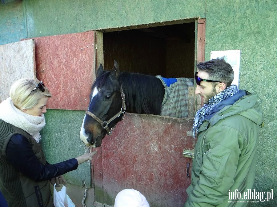 Dzie otwarty w Stowarzyszeniu Patrol Interwencyjny ds. Zwierzt Gospodarskich w Nowakowie, fot. 3