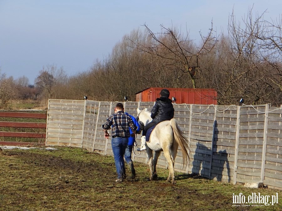 Dzie otwarty w Stowarzyszeniu Patrol Interwencyjny ds. Zwierzt Gospodarskich w Nowakowie, fot. 13