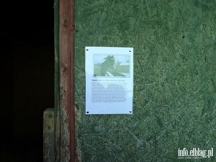 Dzie otwarty w Stowarzyszeniu Patrol Interwencyjny ds. Zwierzt Gospodarskich w Nowakowie, fot. 18