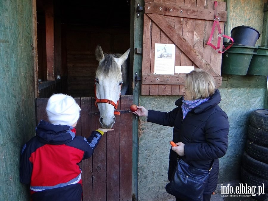 Dzie otwarty w Stowarzyszeniu Patrol Interwencyjny ds. Zwierzt Gospodarskich w Nowakowie, fot. 21