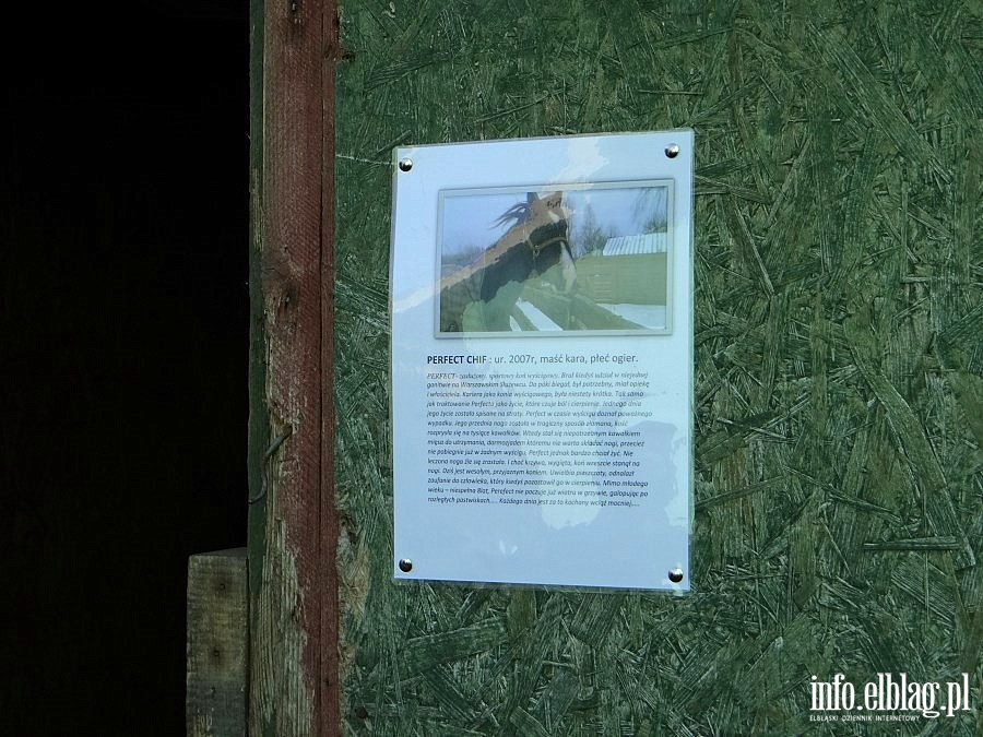 Dzie otwarty w Stowarzyszeniu Patrol Interwencyjny ds. Zwierzt Gospodarskich w Nowakowie, fot. 26