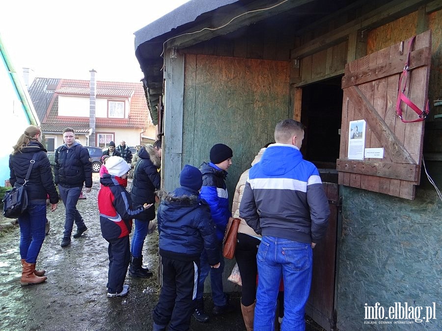 Dzie otwarty w Stowarzyszeniu Patrol Interwencyjny ds. Zwierzt Gospodarskich w Nowakowie, fot. 27