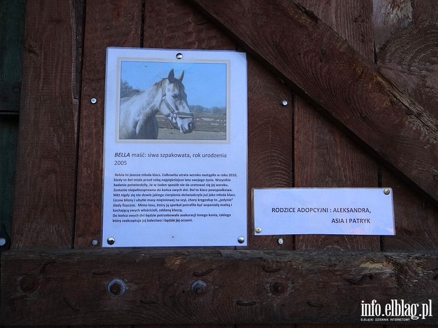 Dzie otwarty w Stowarzyszeniu Patrol Interwencyjny ds. Zwierzt Gospodarskich w Nowakowie, fot. 29