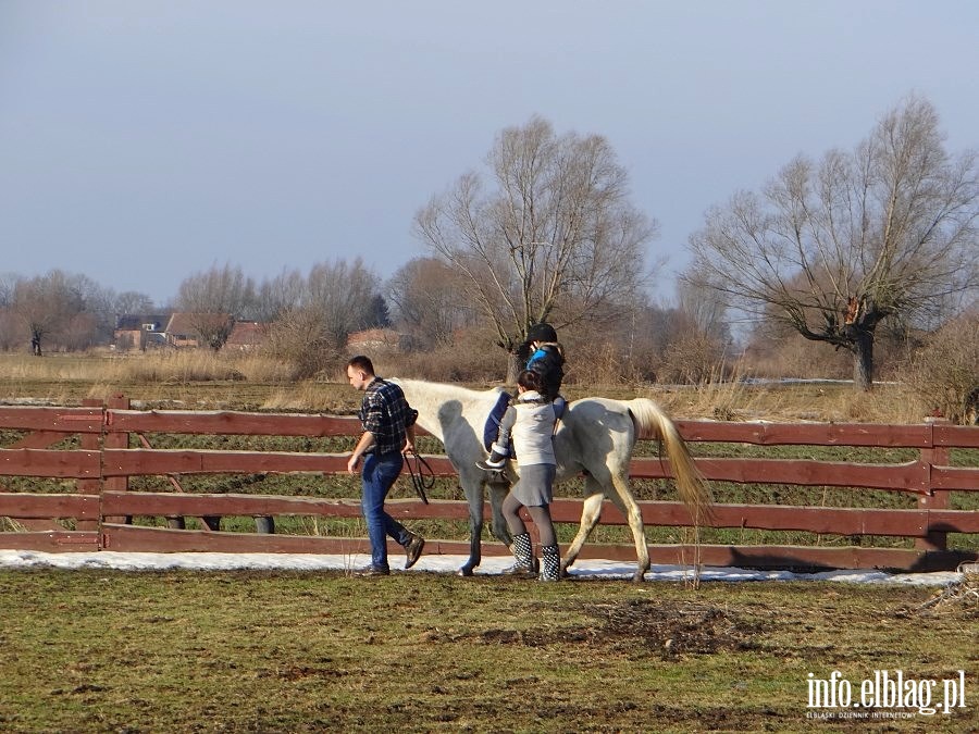 Dzie otwarty w Stowarzyszeniu Patrol Interwencyjny ds. Zwierzt Gospodarskich w Nowakowie, fot. 30