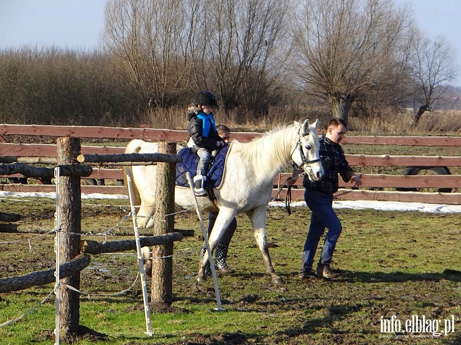 Dzie otwarty w Stowarzyszeniu Patrol Interwencyjny ds. Zwierzt Gospodarskich w Nowakowie, fot. 31