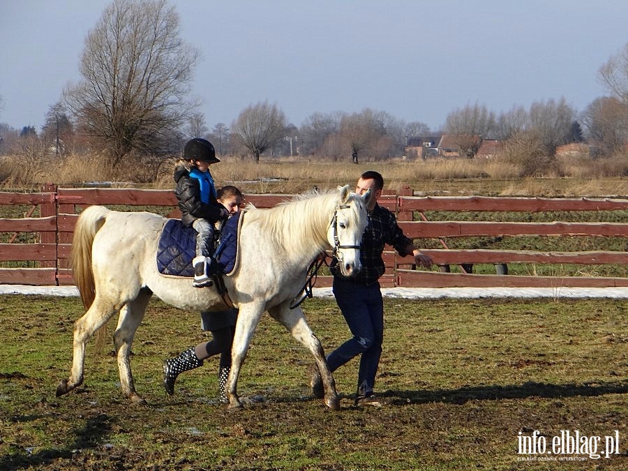 Dzie otwarty w Stowarzyszeniu Patrol Interwencyjny ds. Zwierzt Gospodarskich w Nowakowie, fot. 32