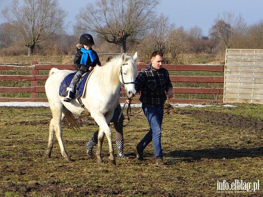 Dzie otwarty w Stowarzyszeniu Patrol Interwencyjny ds. Zwierzt Gospodarskich w Nowakowie, fot. 33