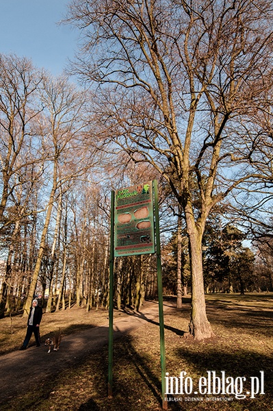 Park Modrzewie- luty 2014, fot. 2